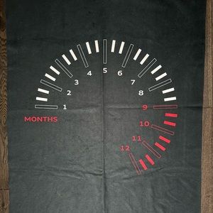 Baby Audi Month Milestone blanket